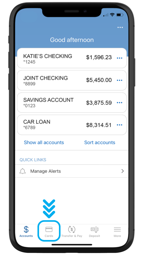 Card Management - Debit Controls